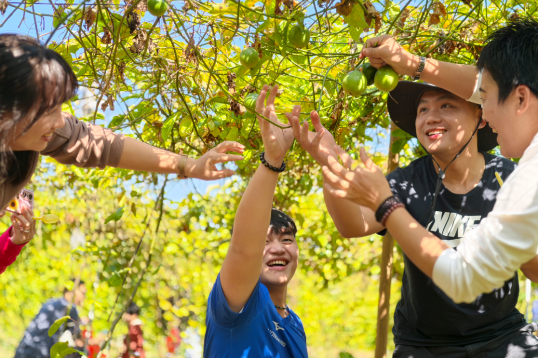 1772440567641655.png e5.png