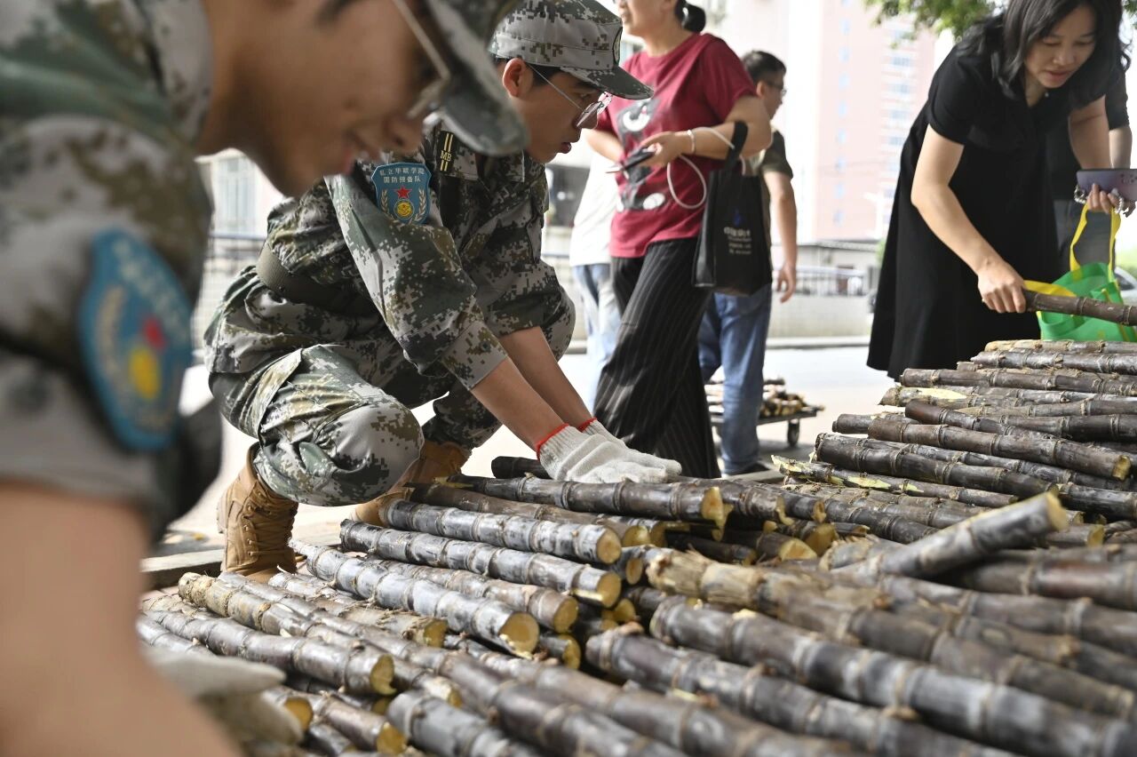 1774921468991990.jpg 微信图片_2026-03-31_094128_702.jpg