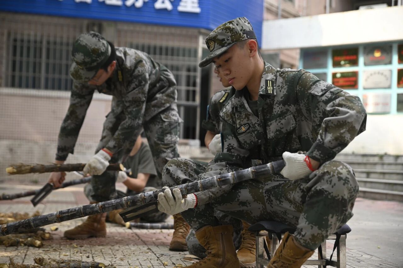 1774921505203092.jpg 微信图片_2026-03-31_094202_985.jpg