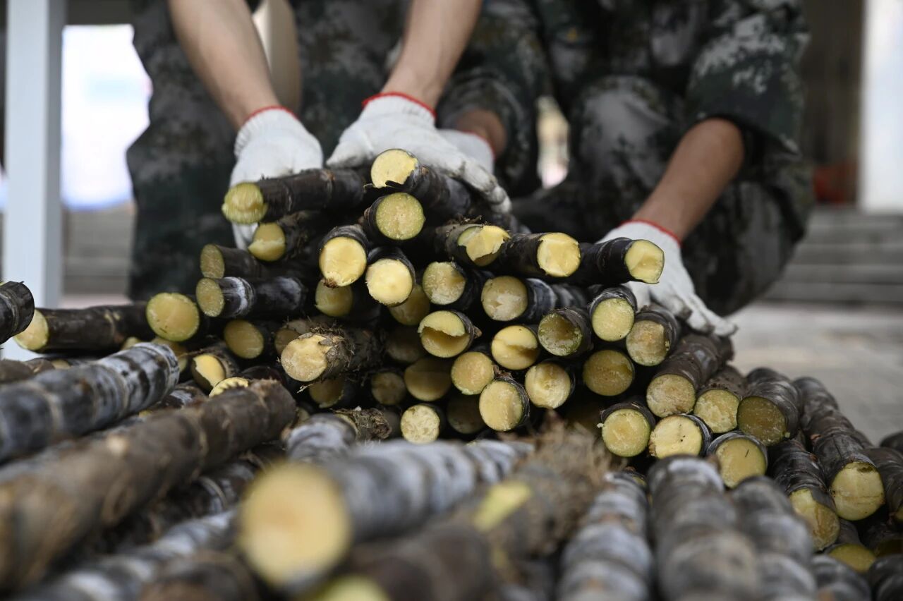 1774921514457416.jpg 微信图片_2026-03-31_094206_391.jpg