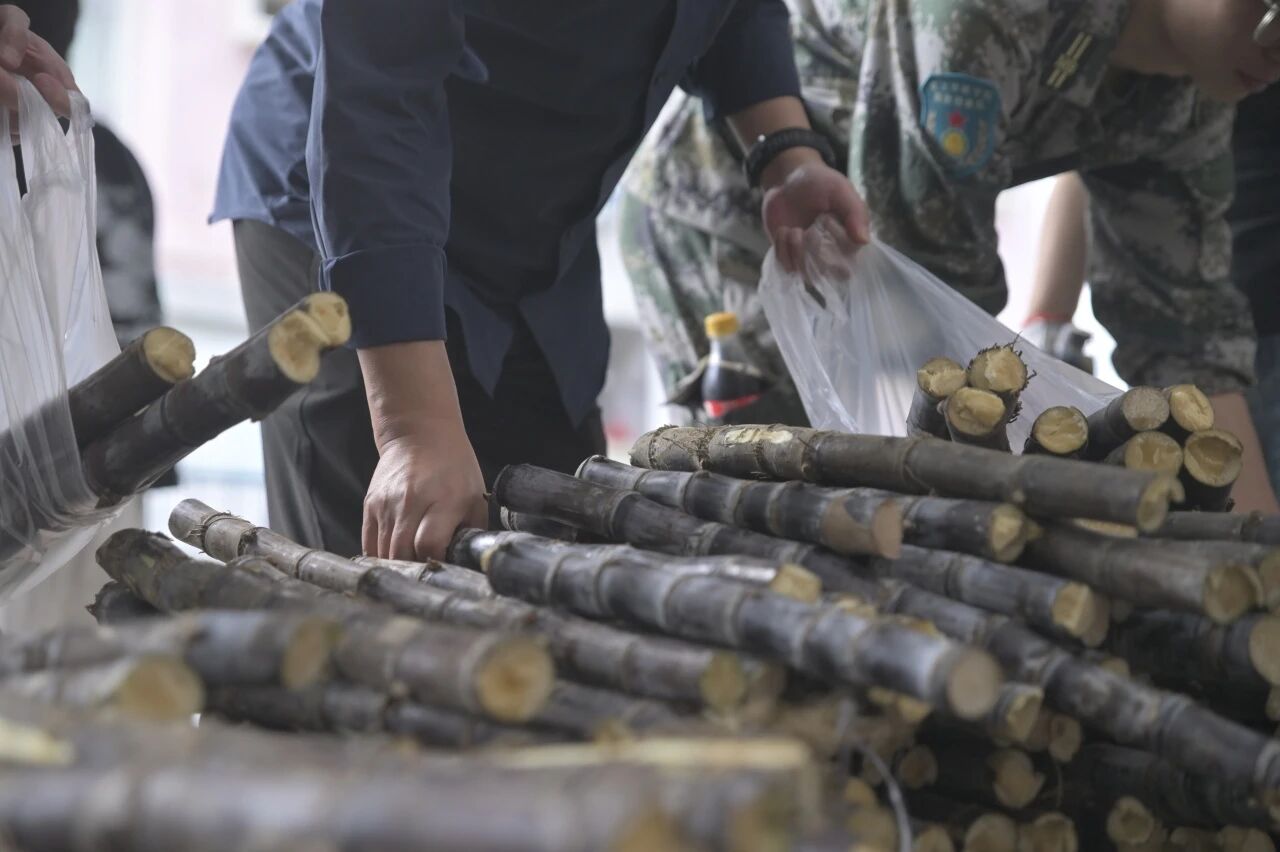 1774921540582704.jpg 微信图片_2026-03-31_094232_653.jpg