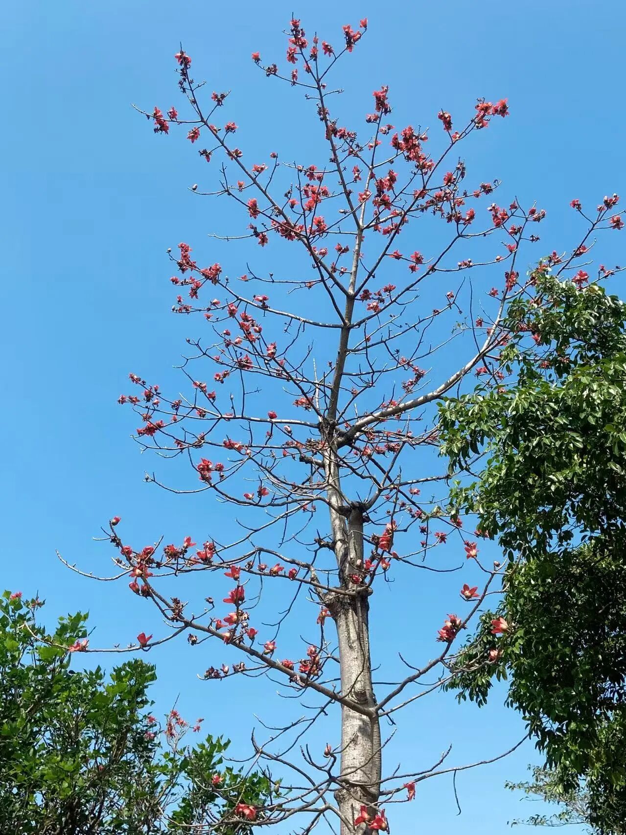 1776067262441416.jpg 11.jpg