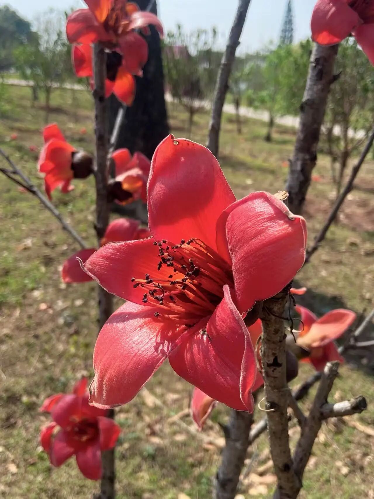 1776067276342315.jpg 12.jpg