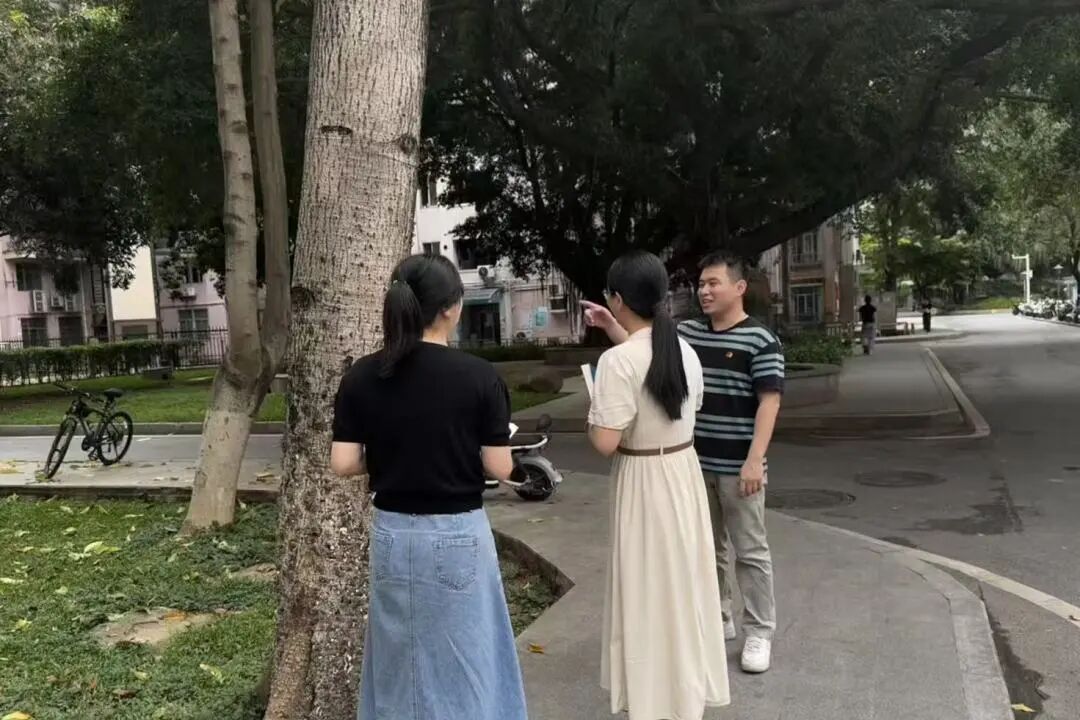 1776067287876951.jpg 13.jpg