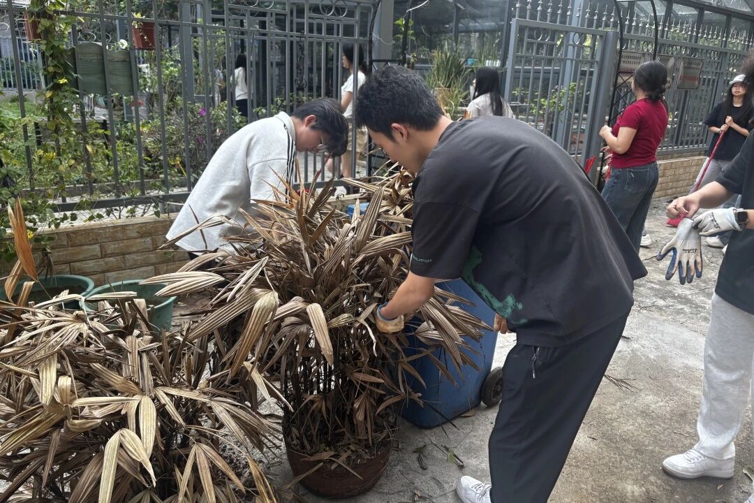 1776067801257016.jpg 43.jpg