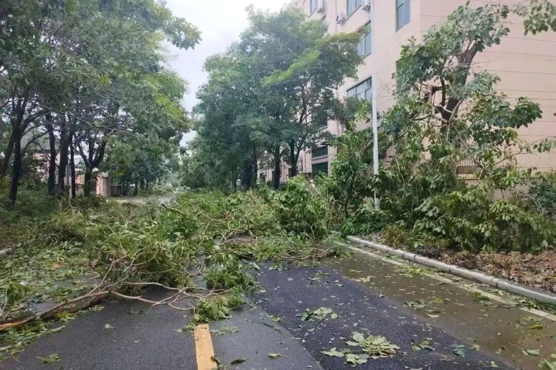 1787791135605165.jpg 微信图片_2026-08-27_083757_289.jpg