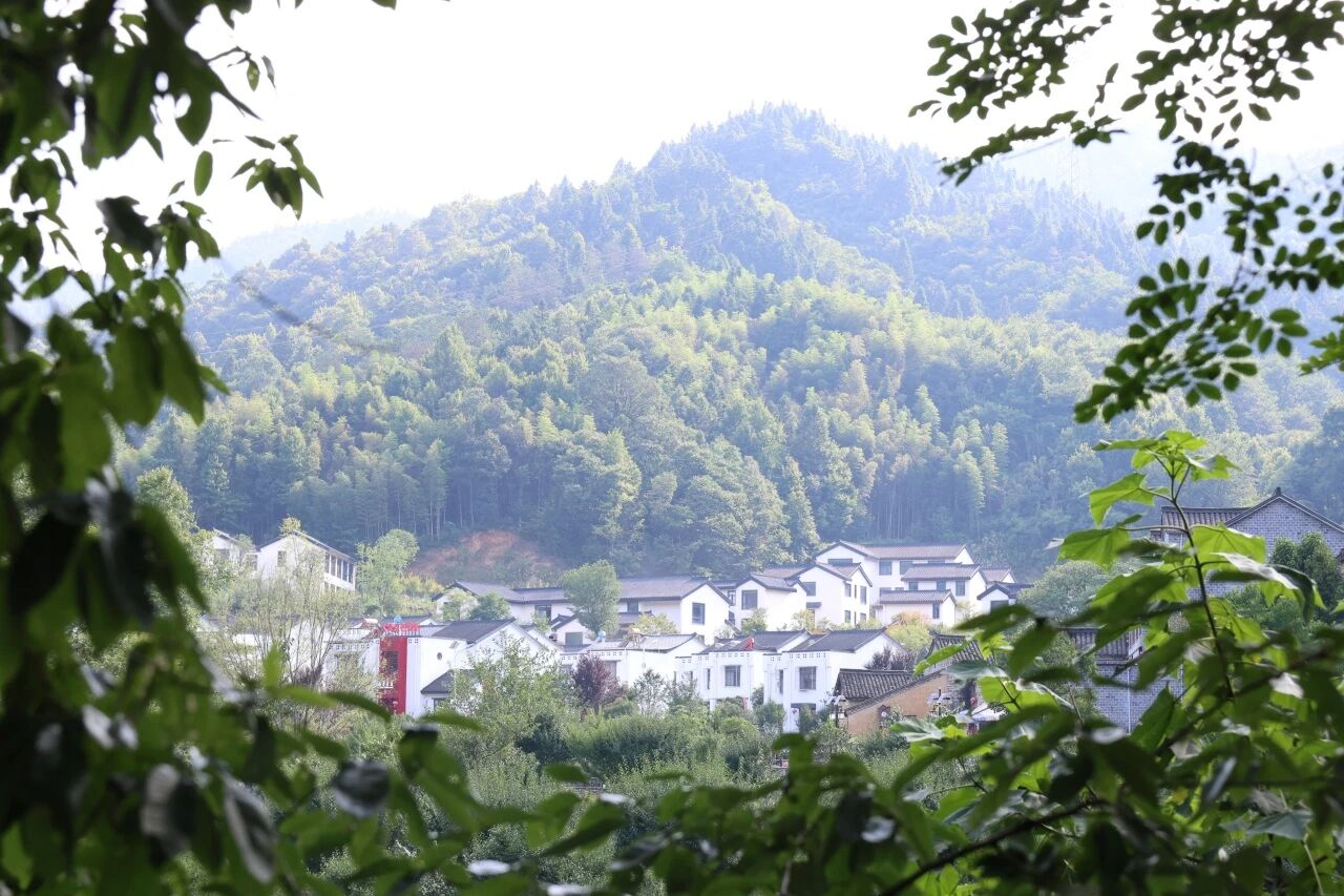1790043421113934.jpg 微信图片_2026-09-22_101416_054.jpg